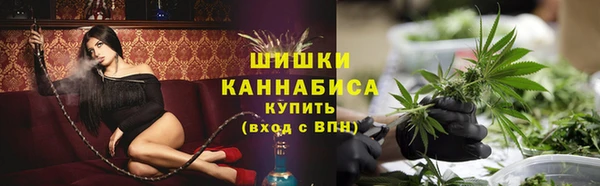 прущие грибы Володарск
