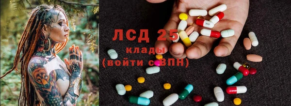 сатива Волоколамск