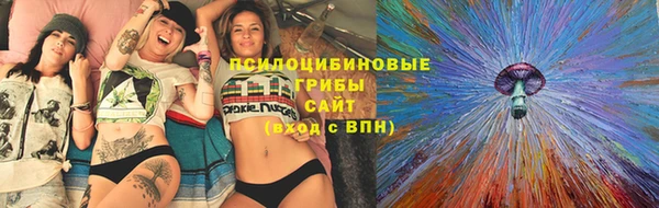 сатива Волоколамск