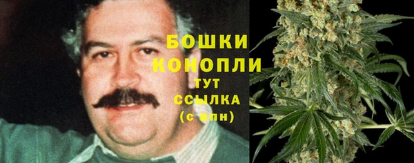 сатива Волоколамск