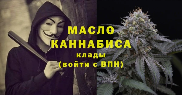 сатива Волоколамск