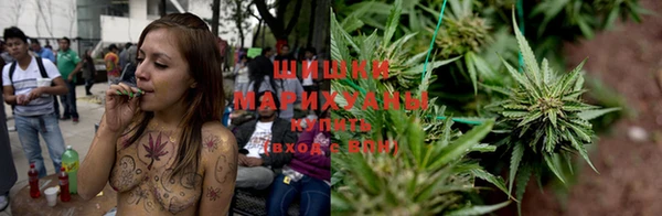 прущие грибы Володарск