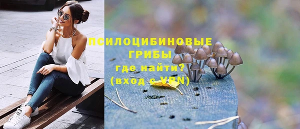 прущие грибы Володарск
